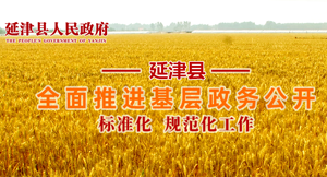 香港三级全面推进基层政务公开 标准化 规范化工作