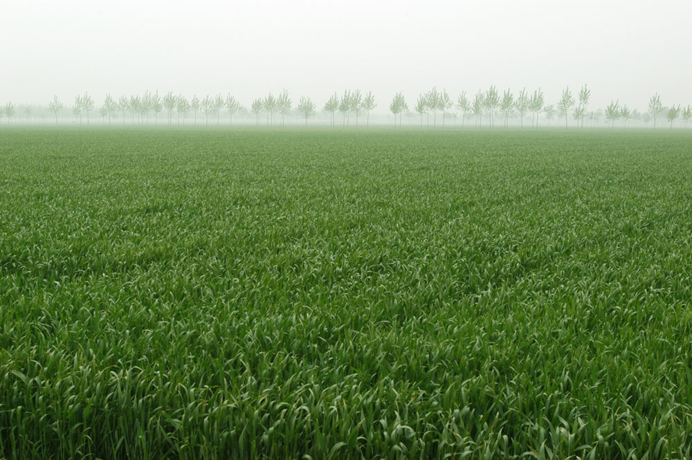 1439428791132089.jpg 013.jpg