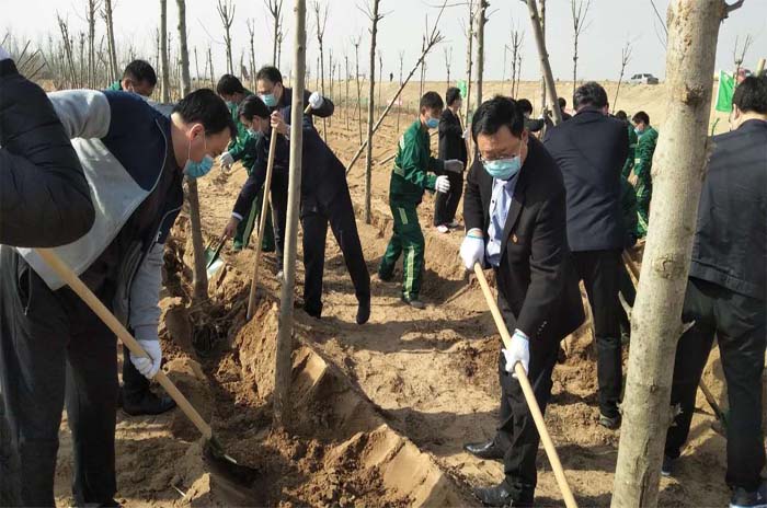 1584020356619284.jpg 未标题-1 拷贝.jpg