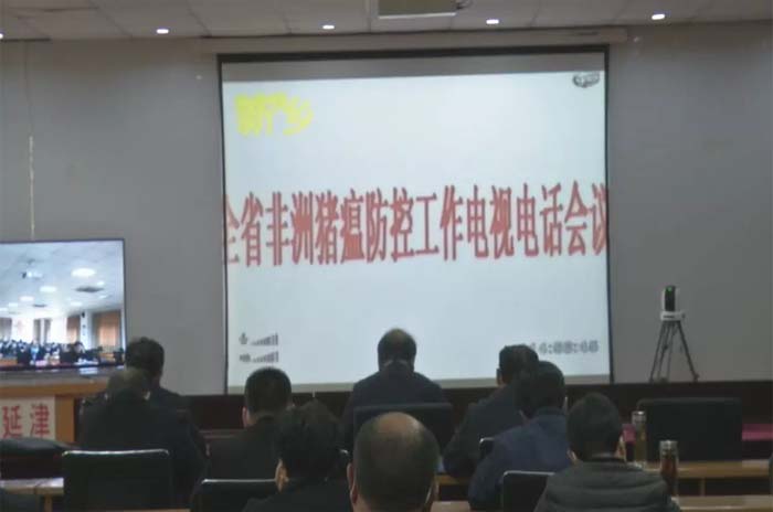 1584580573121831.jpg 3.jpg