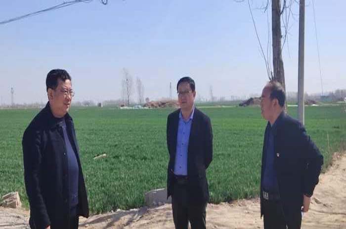 1584925631530398.jpg 未标题-1 拷贝.jpg