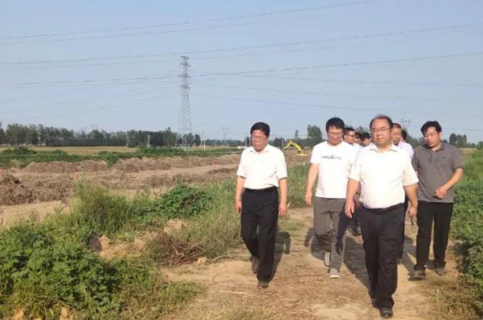 1599185011965213.jpg 9.jpg