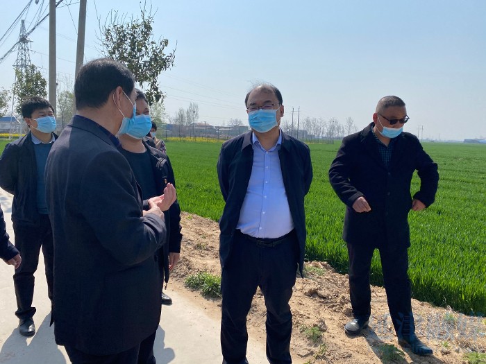 1649032400759167.jpg 1613294623.jpg