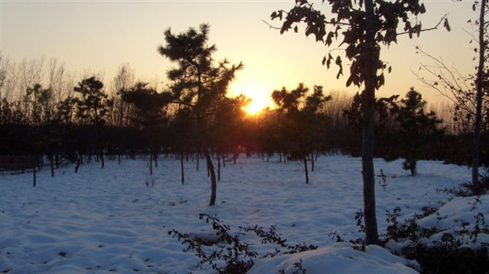 1653968071586376.png 图片8.png