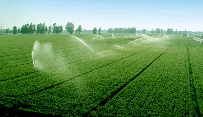 1657767047958038.jpg 35505323.jpg