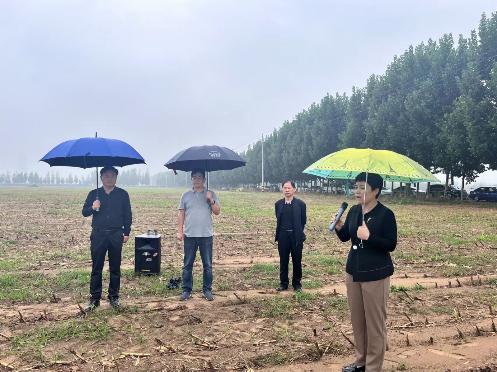 土地.jpg 土地.jpg