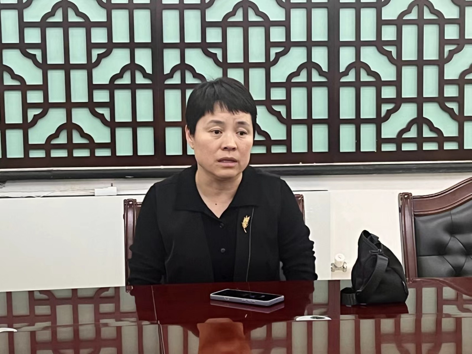 张风琴1.jpg 张风琴1.jpg