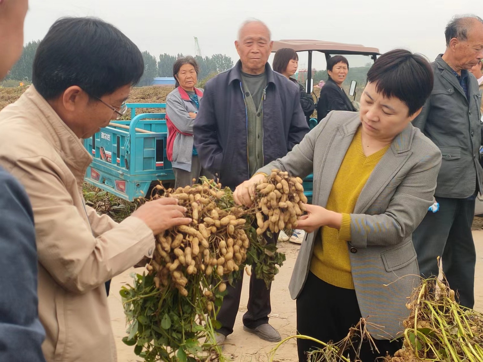 花生.jpg 花生.jpg