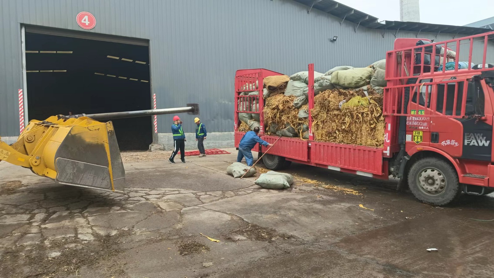 730404533.jpg 730404533.jpg