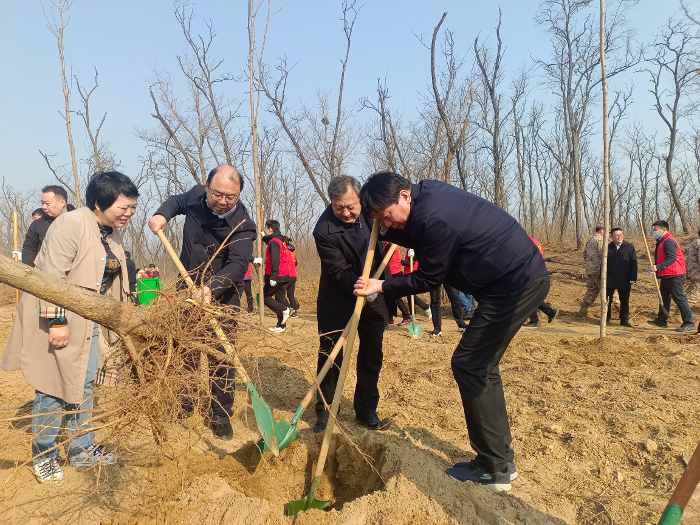 植树.jpg