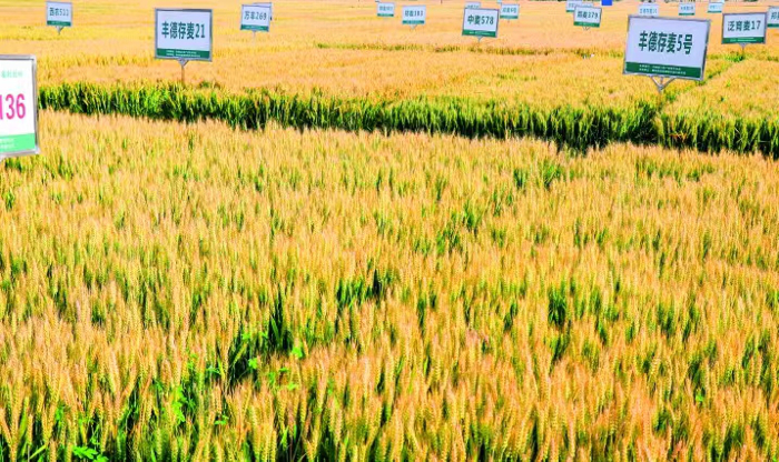 749604905.jpg 749604905.jpg