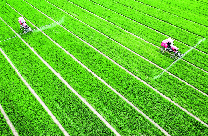 1905436780.jpg 1905436780.jpg