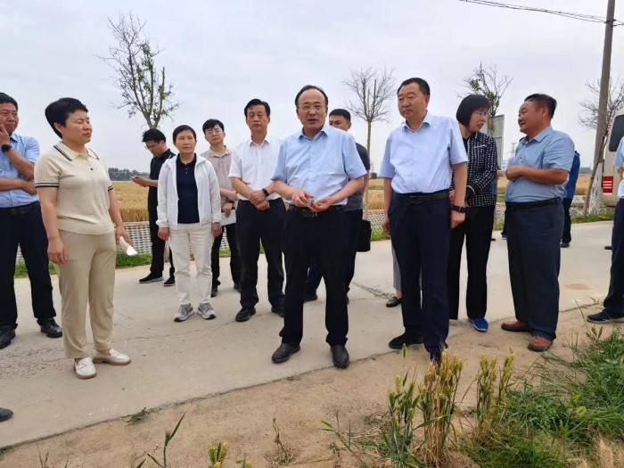 301181291.jpg 301181291.jpg