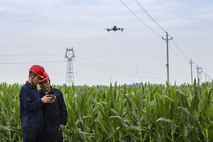 917926972.jpg 917926972.jpg