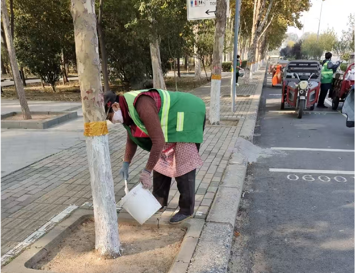 图片1.png 图片1.png