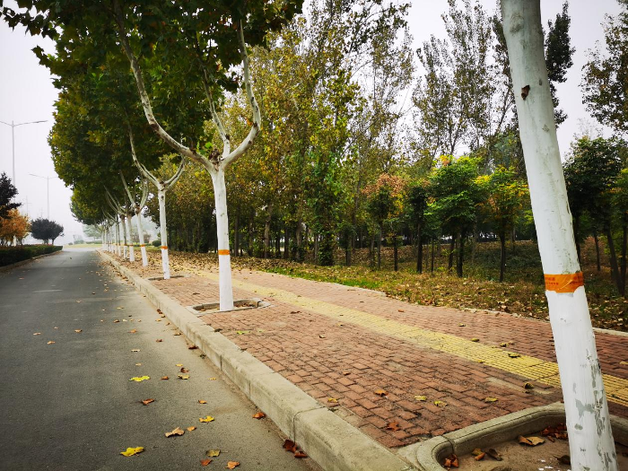 图片2.png 图片2.png