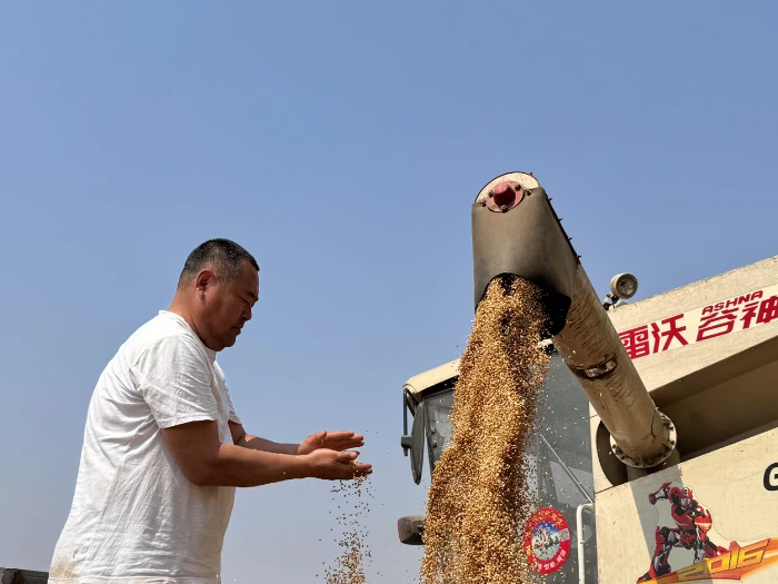 1906828491.jpg 1906828491.jpg