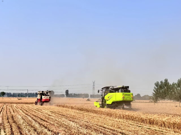 170006203.jpg 170006203.jpg