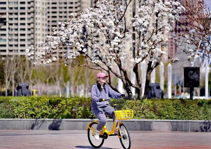 461556699.jpg 461556699.jpg